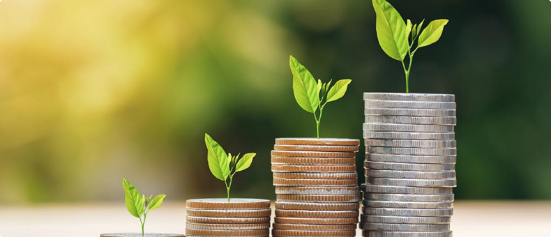 mutual funds